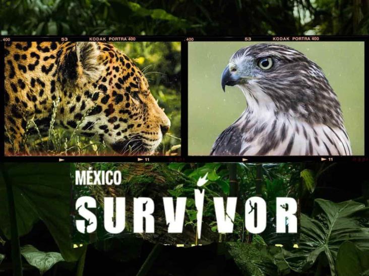 Survivor México 2024: así quedan conformados los equipos de la quinta temporada