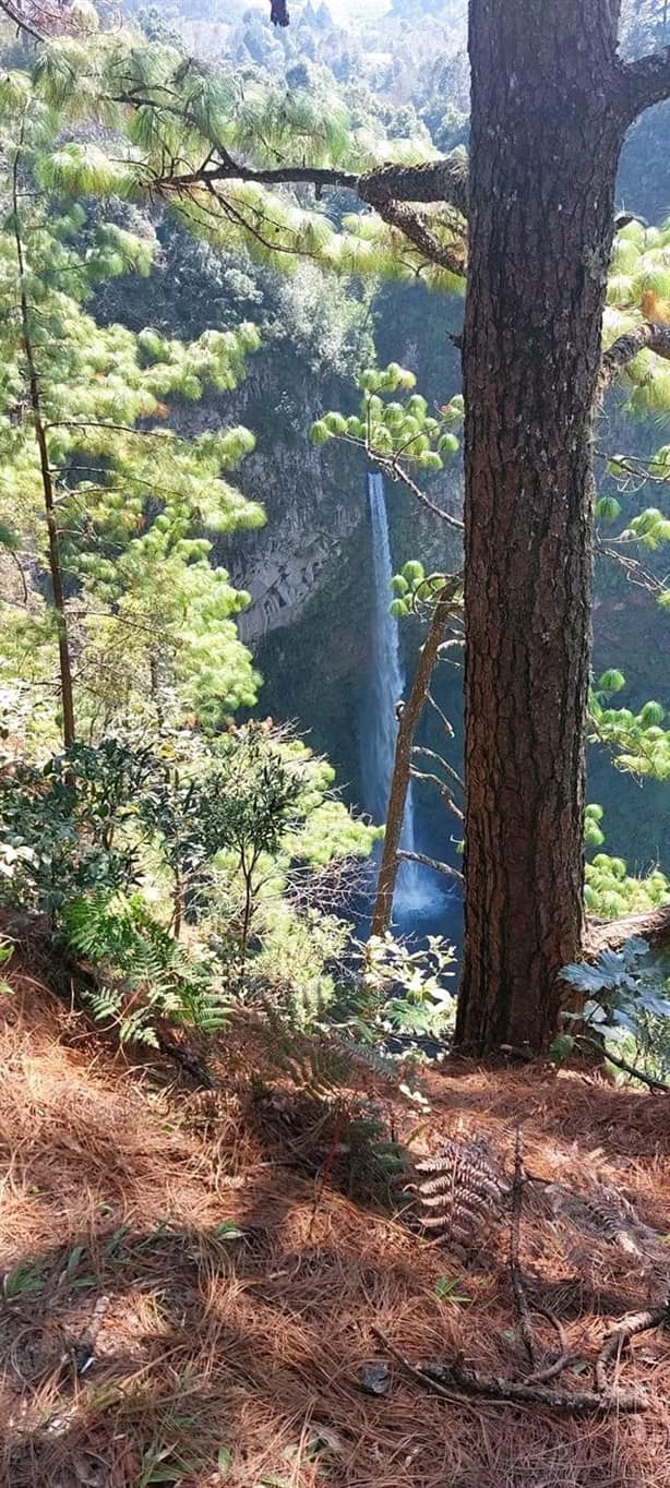 Cascada Velo de novia: ¿cómo llegar a este atractivo natural?  (+ VIDEO)