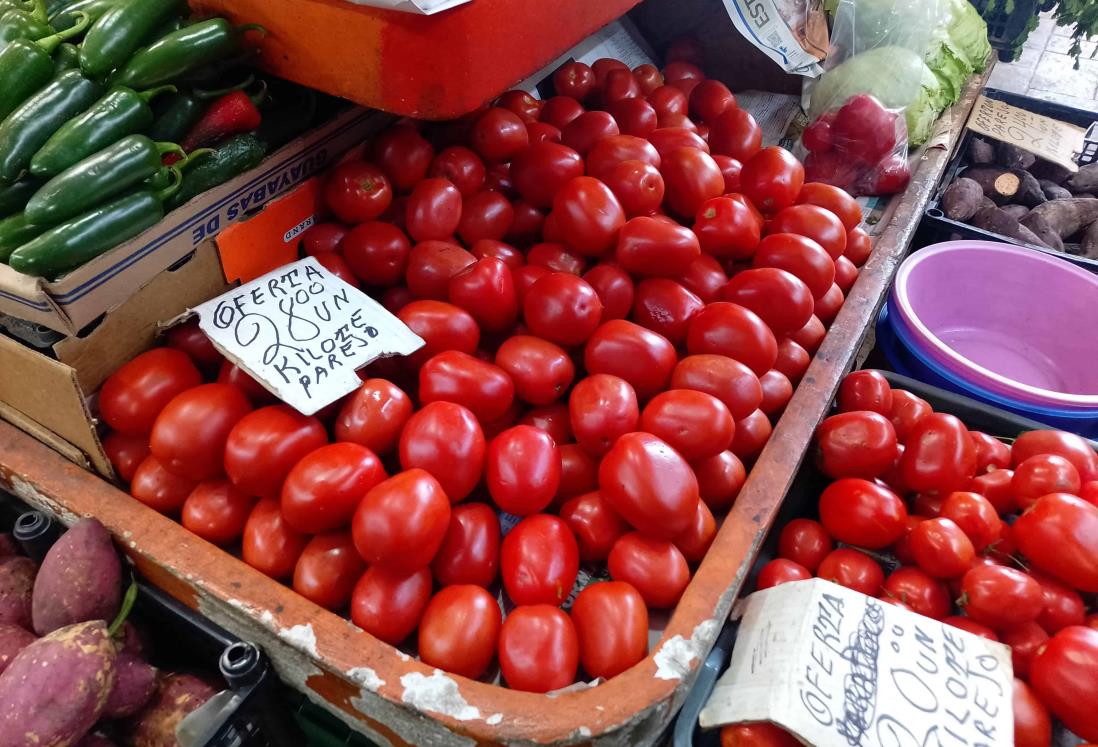 Continúa a la baja el precio del tomate en Veracruz