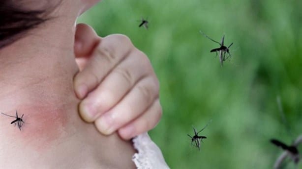 Aumenta el dengue en México; estos son los estados con más casos