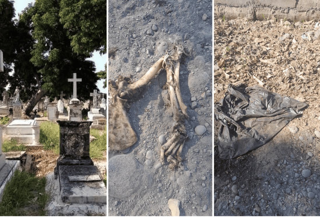Hallazgo de huesos sorprende en Veracruz