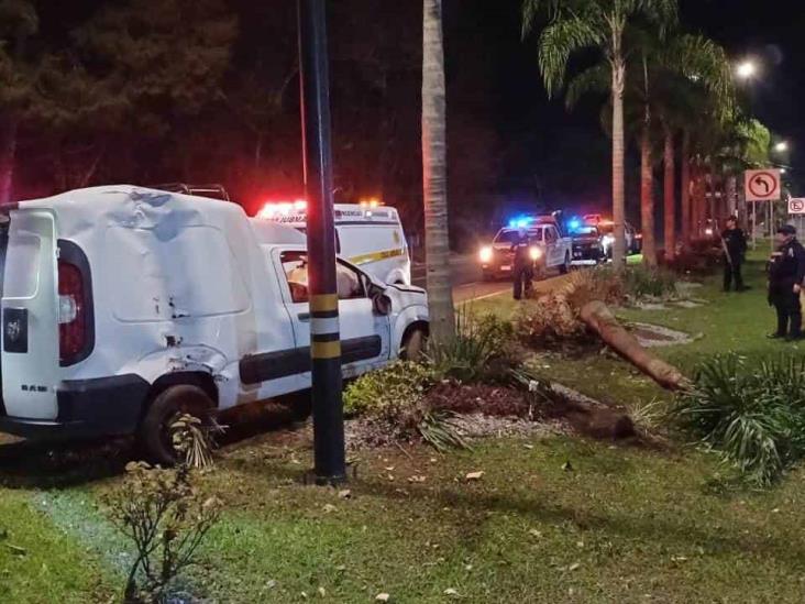 Camioneta choca y derriba palmera en el bulevar Xalapa-Coatepec