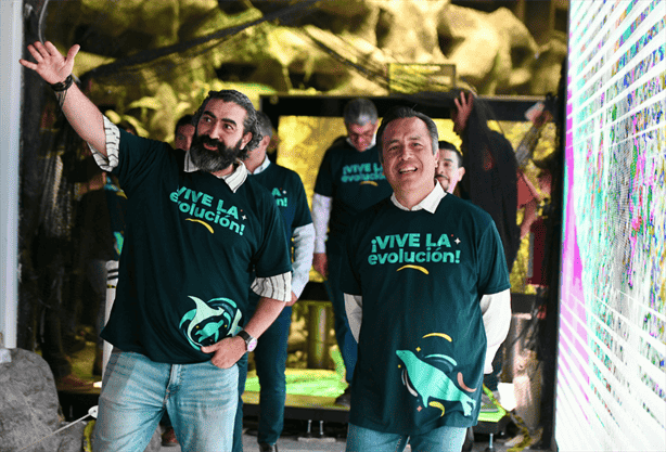 Aquarium de Veracruz: este día inauguran el lobario