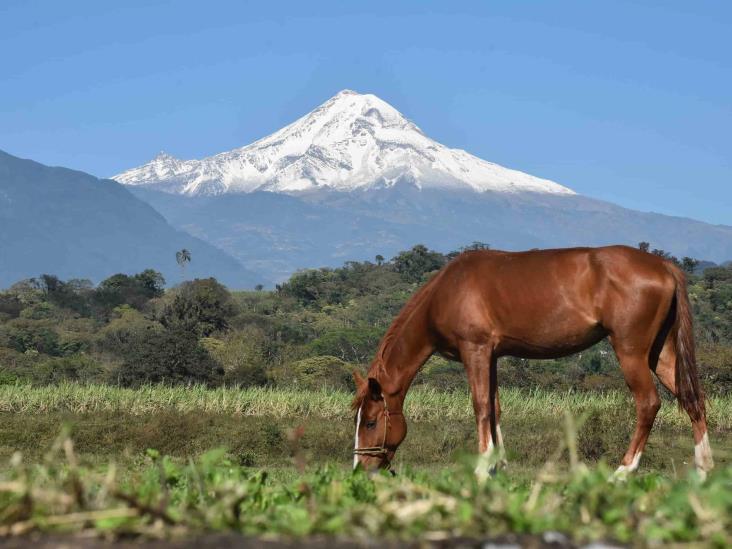 ¿Cuándo fue la última erupción del Pico de Orizaba?