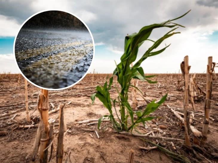 Aguas con el agua, habrá déficit de lluvias y mucho calor en marzo: meteorólogos