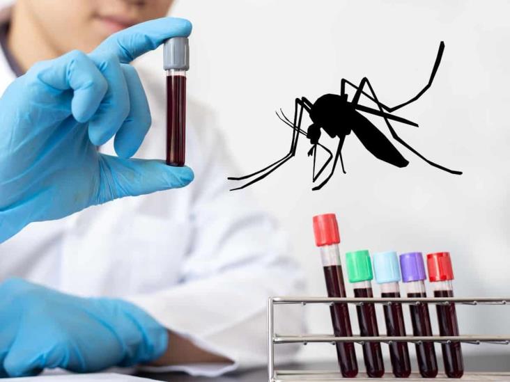 Dengue en Misantla: Laboratorios privados no informan sobre casos a Sector Salud