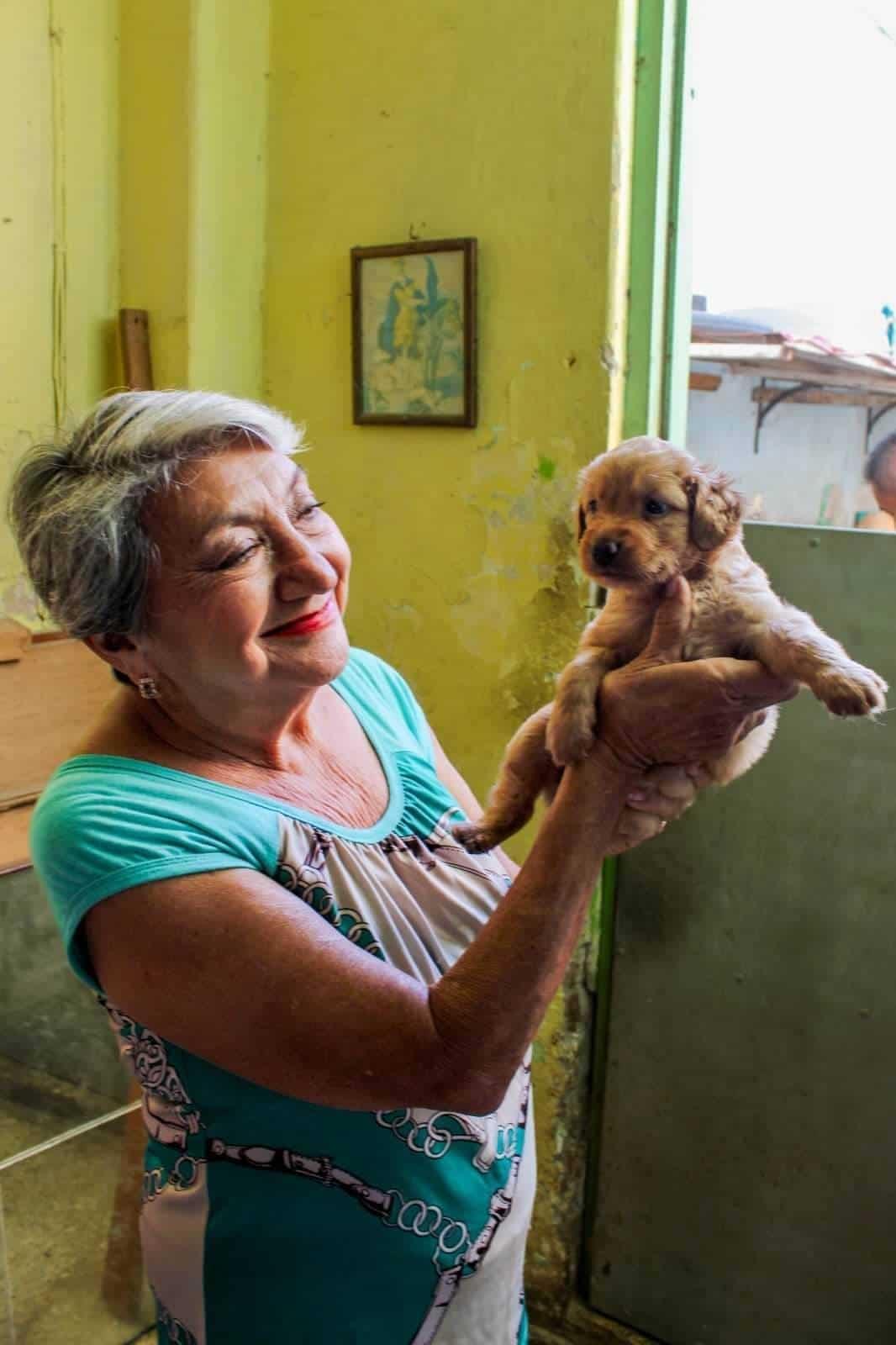 Norma Cortina presidenta de la asociación animalista La Roca en Veracruz sigue hospitalizada