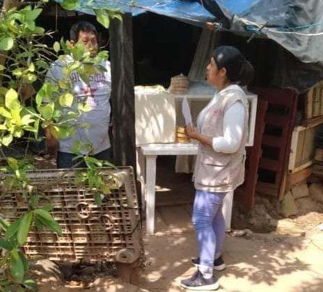 Sesver realiza barrido para combatir dengue en Soconusco 