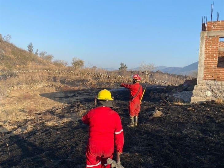 Se registran dos incendios de pastizales en un predio de Maltrata