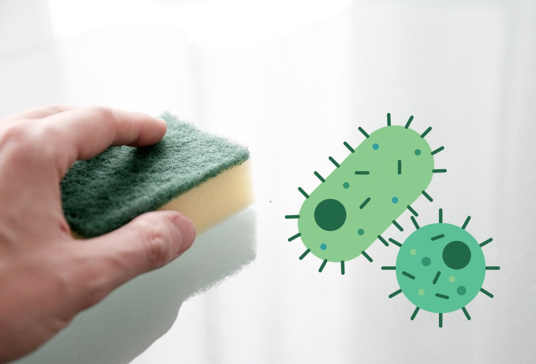 Cómo desinfectar tu esponja de cocina en menos de 5 minutos