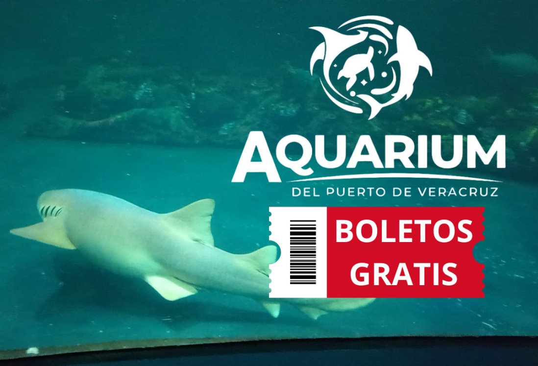 Así puedes entrar gratis al acuario de Veracruz este martes