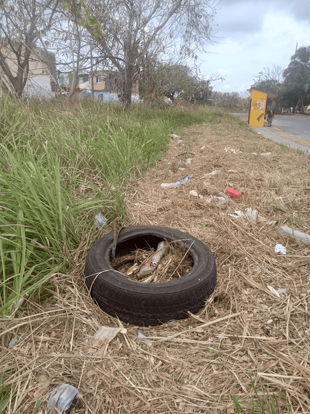 Acumulación de llantas, principal contaminante en Veracruz: Procuraduría del Medio Ambiente