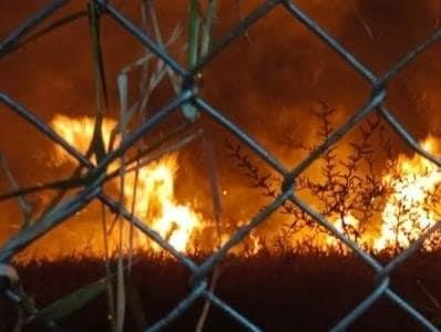 Se registra fuerte incendio en terreno baldío en Nogales (+VIDEO)