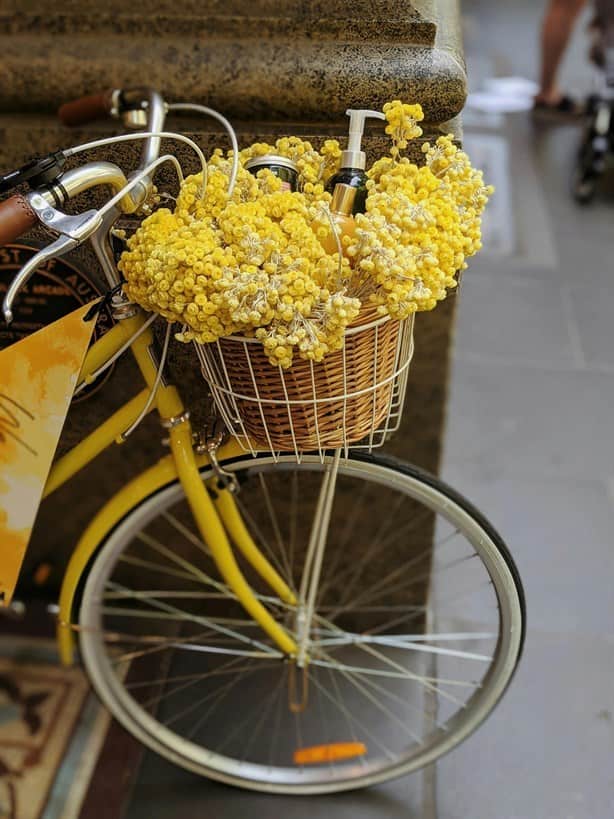 ¿Por qué se regalan flores amarillas el 21 de marzo?