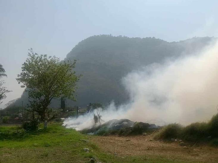 Incendio de pastizal desata alarma en colonia de Nogales