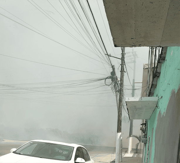 Fuertes calores provocan incendio en pastizales de colonia de Cosamaloapan