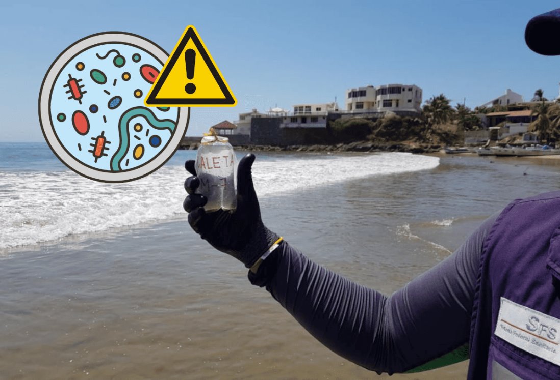 Semana Santa 2024: Cofepris reporta playas con altos niveles de contaminación en México