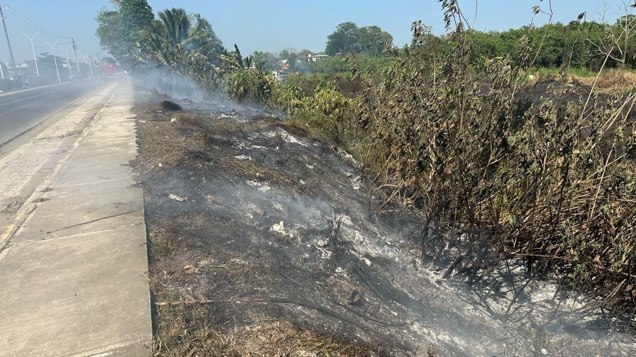 Fuertes calores provocan incendio en pastizales de colonia de Cosamaloapan
