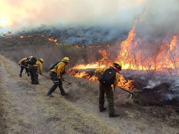 Se desata infierno en Veracruz, reportan siete incendios activos en la entidad