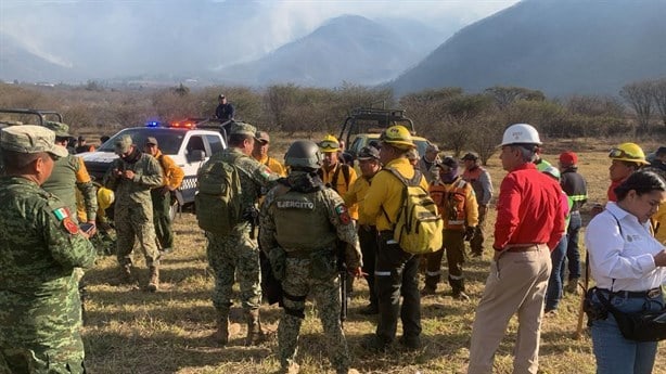 Incendios forestales en Veracruz: cómo iniciaron y cómo avanza su extinción