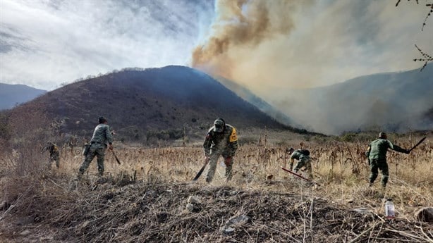 ¿Cuántas hectáreas han sido afectadas por los incendios forestales en Veracruz?