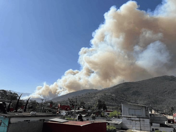 La amenaza de los incendios forestales en Veracruz