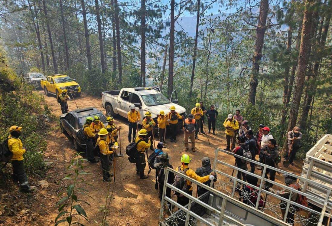 Acuario de Veracruz y PMA instalan centros de acopio para apoyar al combate de incendios