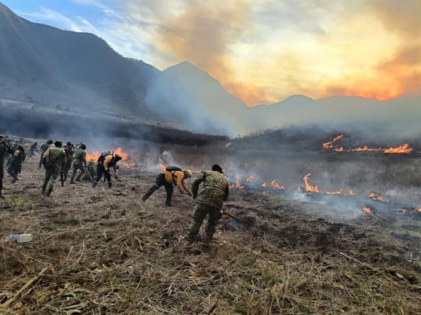 Estos son los daños provocados por los incendios forestales en Veracruz