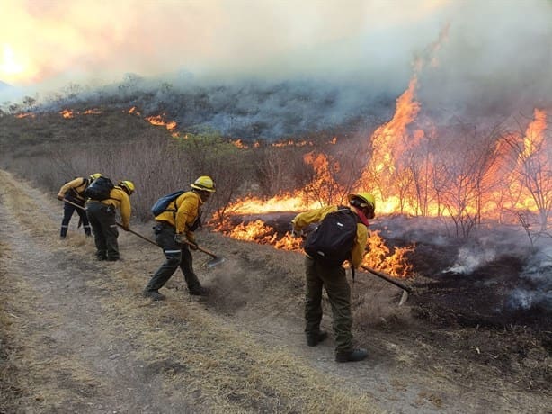 Estos son los daños provocados por los incendios forestales en Veracruz