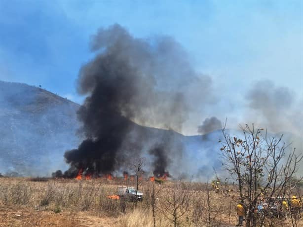 Controlan tres incendios forestales en las Altas Montañas de Veracruz