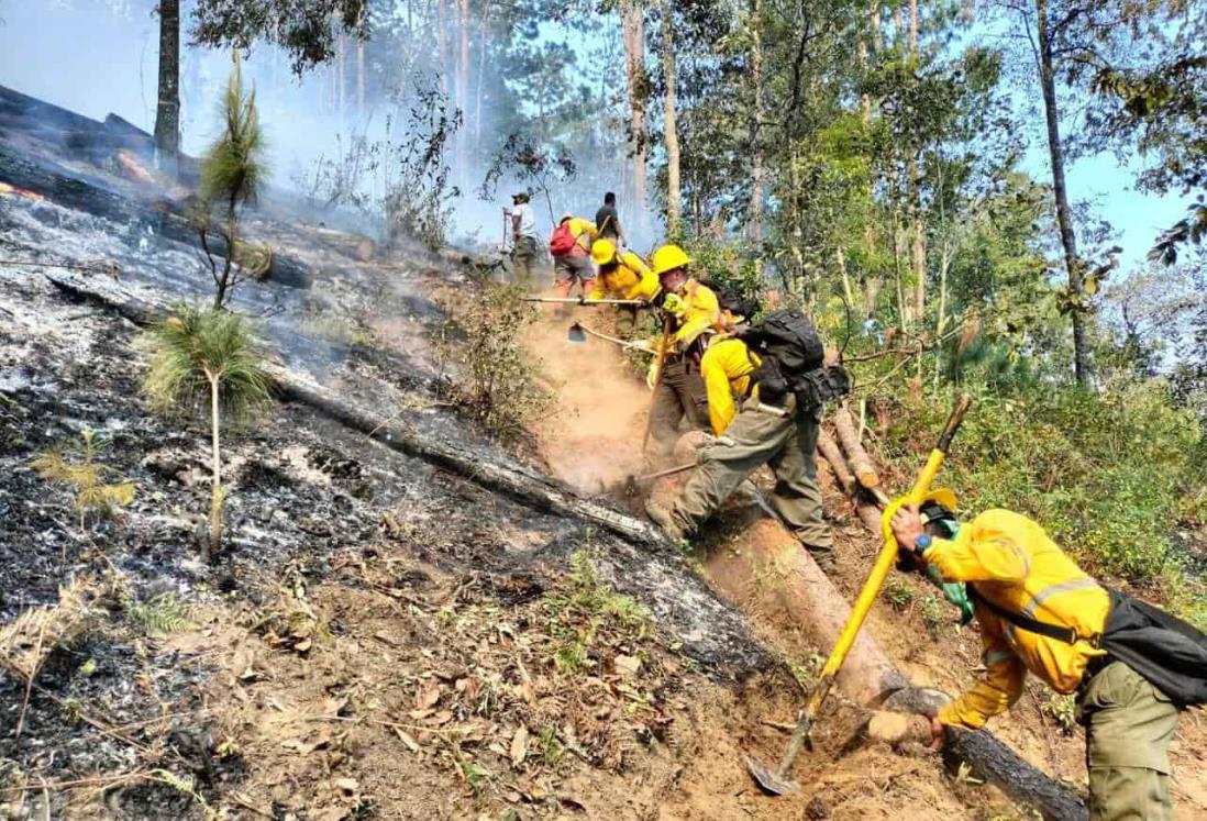 Controlan tres incendios forestales en las Altas Montañas de Veracruz