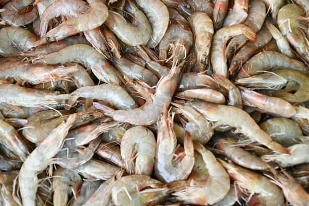 En Xalapa, supervisarán que pescaderías operen con higiene