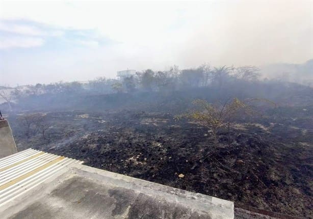 Más de 200 incendios de pastizales se han registrado en Veracruz