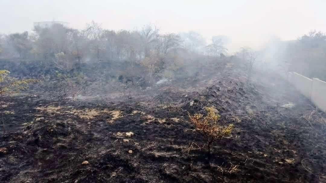 Más de 200 incendios de pastizales se han registrado en Veracruz