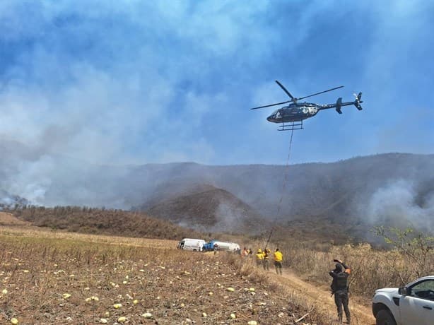 Alista PC demandas contra generadores de incendios forestales en Veracruz