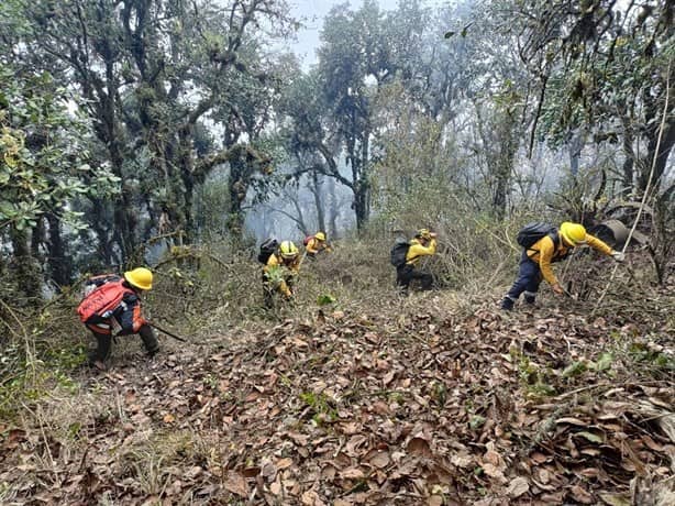 Controlan por completo los incendios forestales de las Altas Montañas de Veracruz