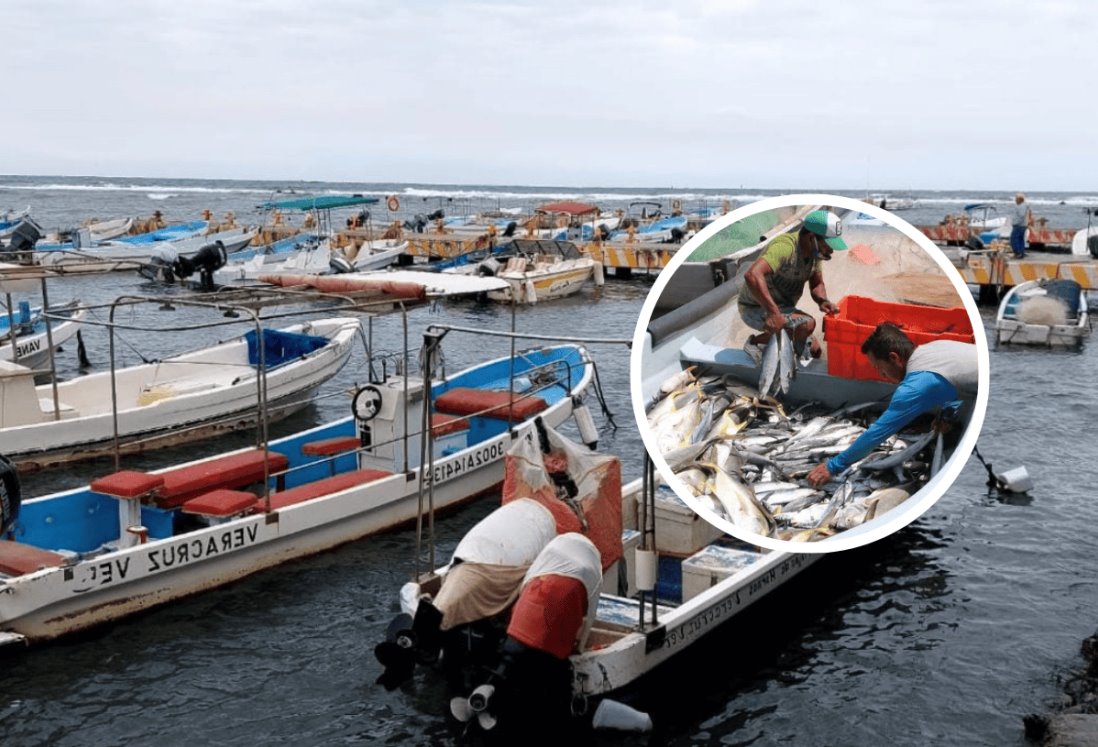 Pescadores de Veracruz señalan mala temporada de pesca por altas temperaturas