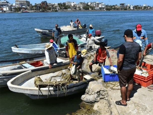 Pescadores de Veracruz señalan mala temporada de pesca por altas temperaturas