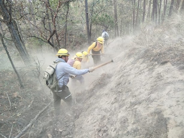 Liquidan incendios forestales registrados en las Altas Montañas