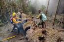 Extinguen todos los incendios forestales de las altas montañas