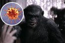 ¿Qué es el Virus B que tiene a China en alerta?