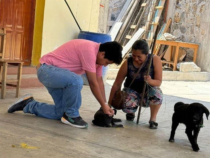 Realizan campaña de vacunación antirrábica en Camerino Mendoza