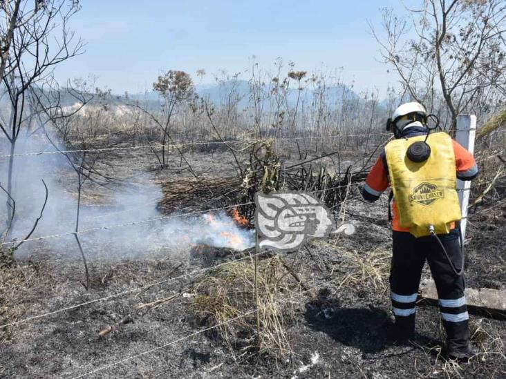 Incendio de pastizal pone en alerta a bomberos de Ixtaczoquitlán (+Video)