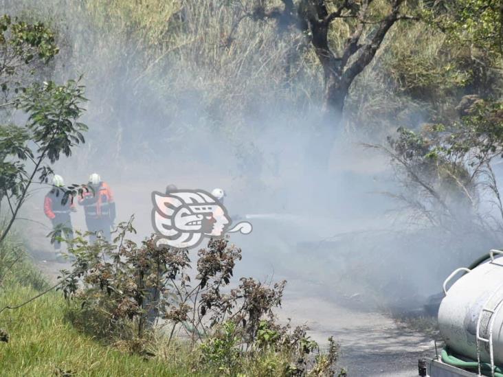 Incendio de pastizal pone en alerta a bomberos de Ixtaczoquitlán (+Video)