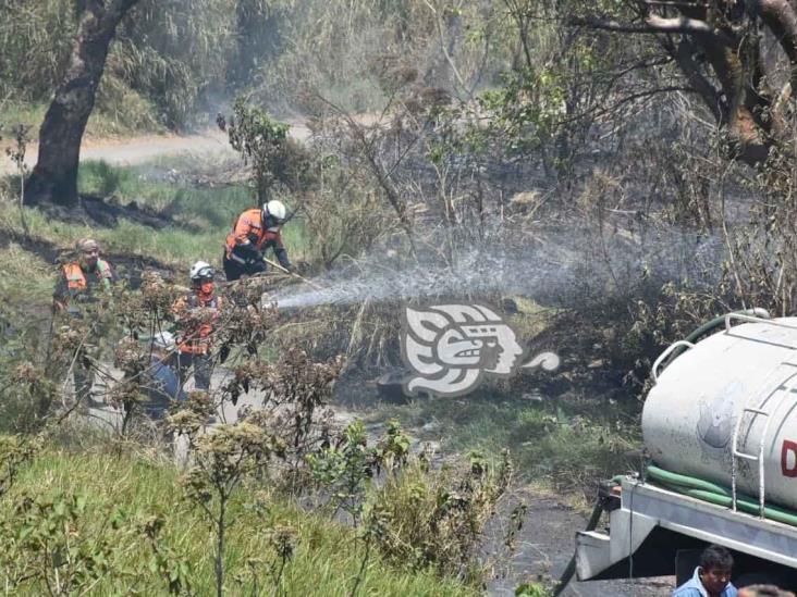 Incendio de pastizal pone en alerta a bomberos de Ixtaczoquitlán (+Video)