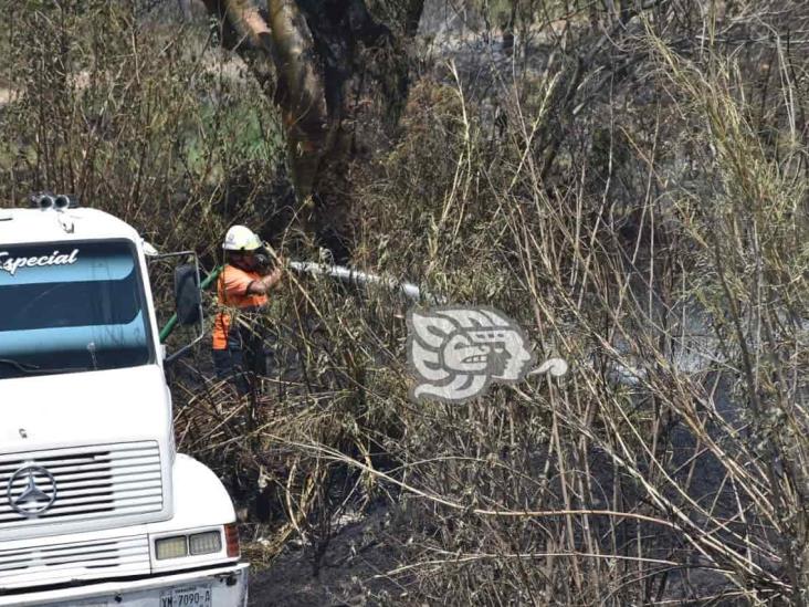 Incendio de pastizal pone en alerta a bomberos de Ixtaczoquitlán (+Video)