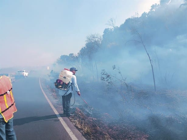 Se registran dos incendios forestales en Alto Lucero