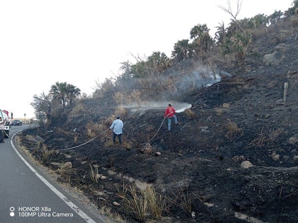 Se registran dos incendios forestales en Alto Lucero