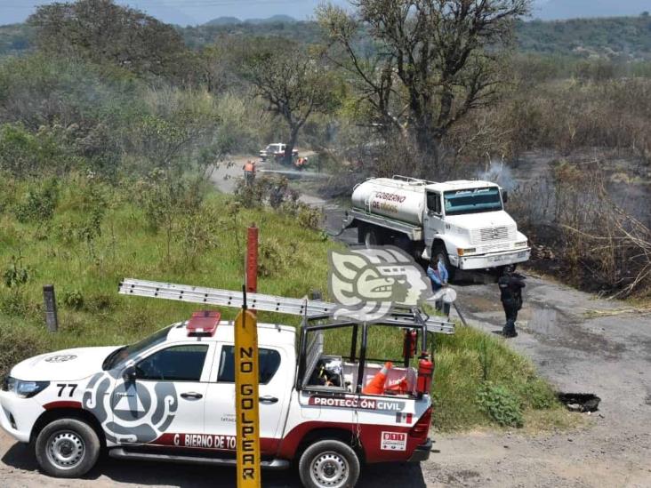 Incendio de pastizal pone en alerta a bomberos de Ixtaczoquitlán (+Video)