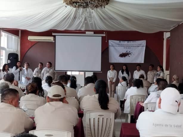 Capacitan sobre control y prevención de dengue y chagas en Veracruz